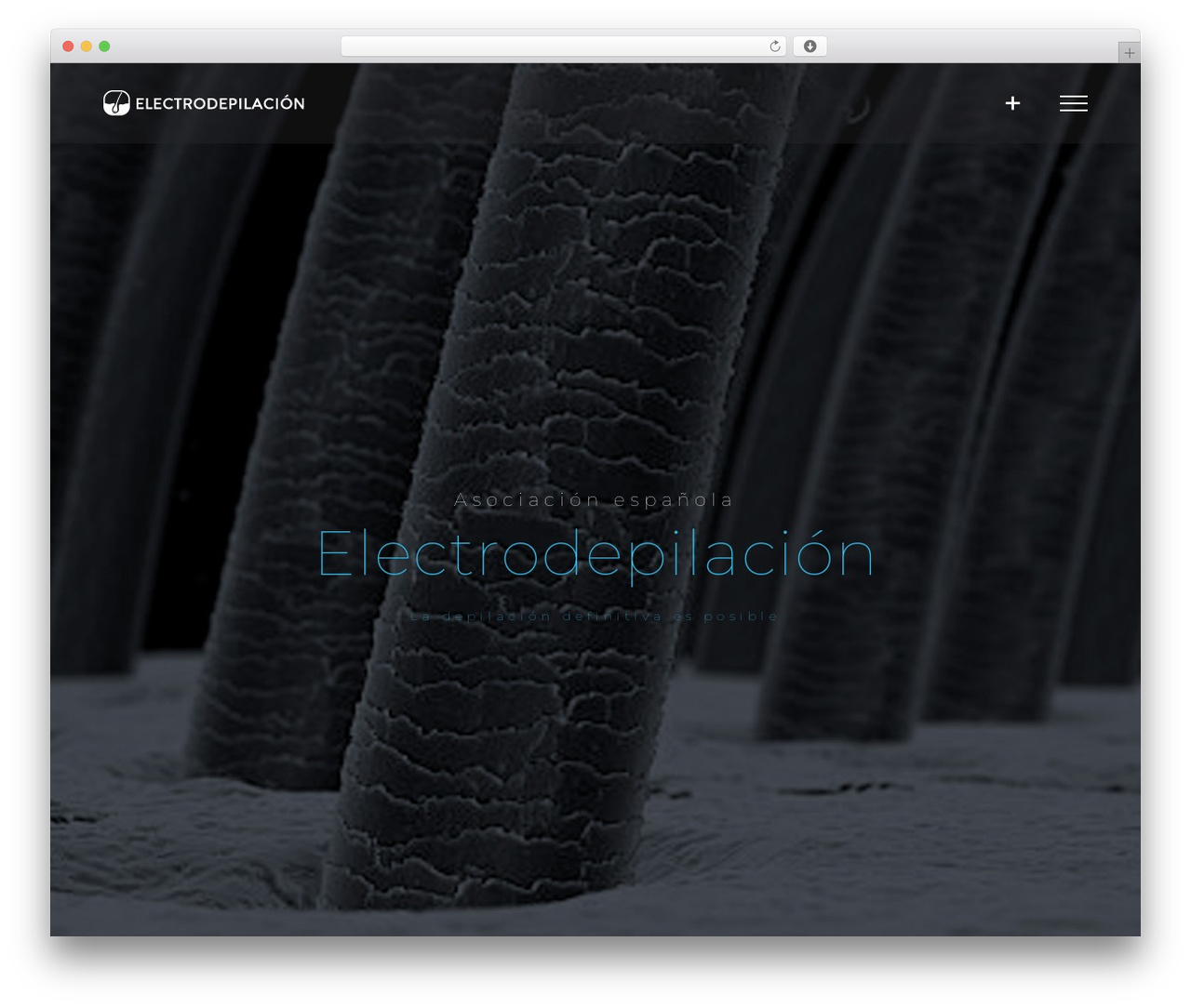 Avada WordPress theme - electrodepilacion.com Avada WordPress theme - electrodepilacion.com