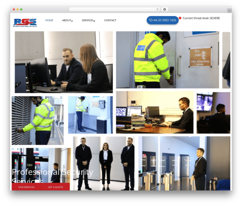 Elementor pro master WordPress plugin - remoteguardingservices.co.uk