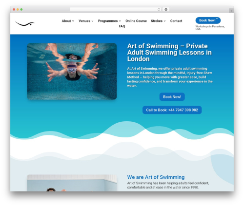 Web stat WordPress plugin - artofswimming.com