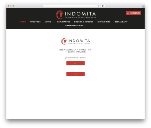 Debug Log Manager (debug-log-manager) free WordPress plugin - indomita.cl