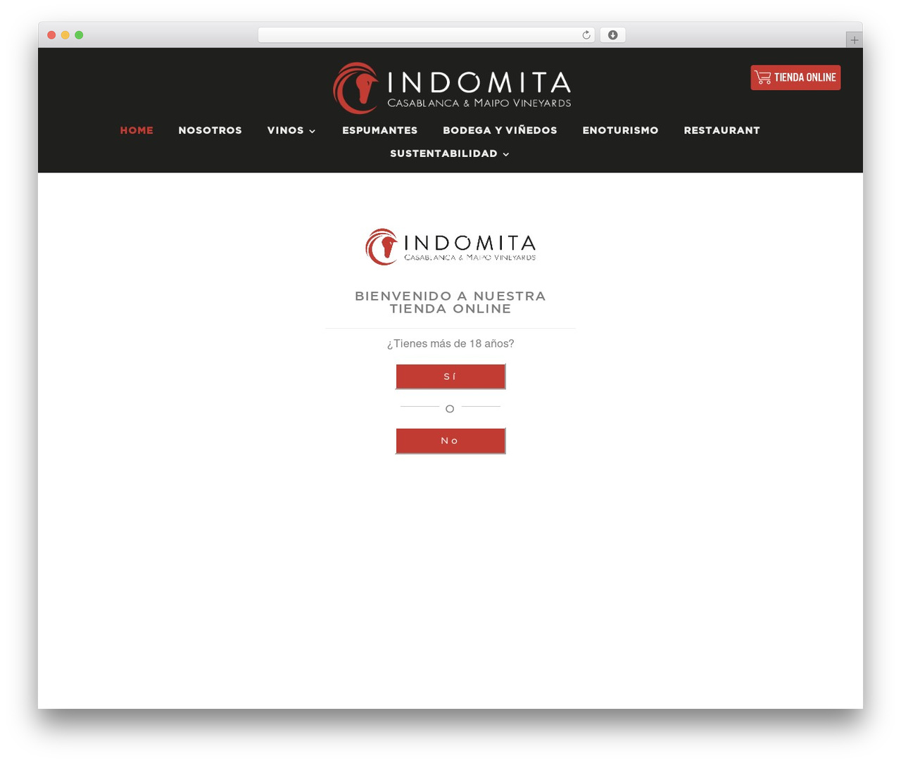 Divi theme WordPress - indomita.cl Divi theme WordPress - indomita.cl