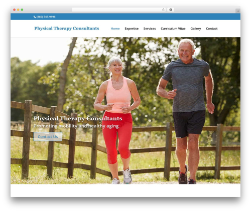 Divi WordPress website theme - ptconsultants.biz