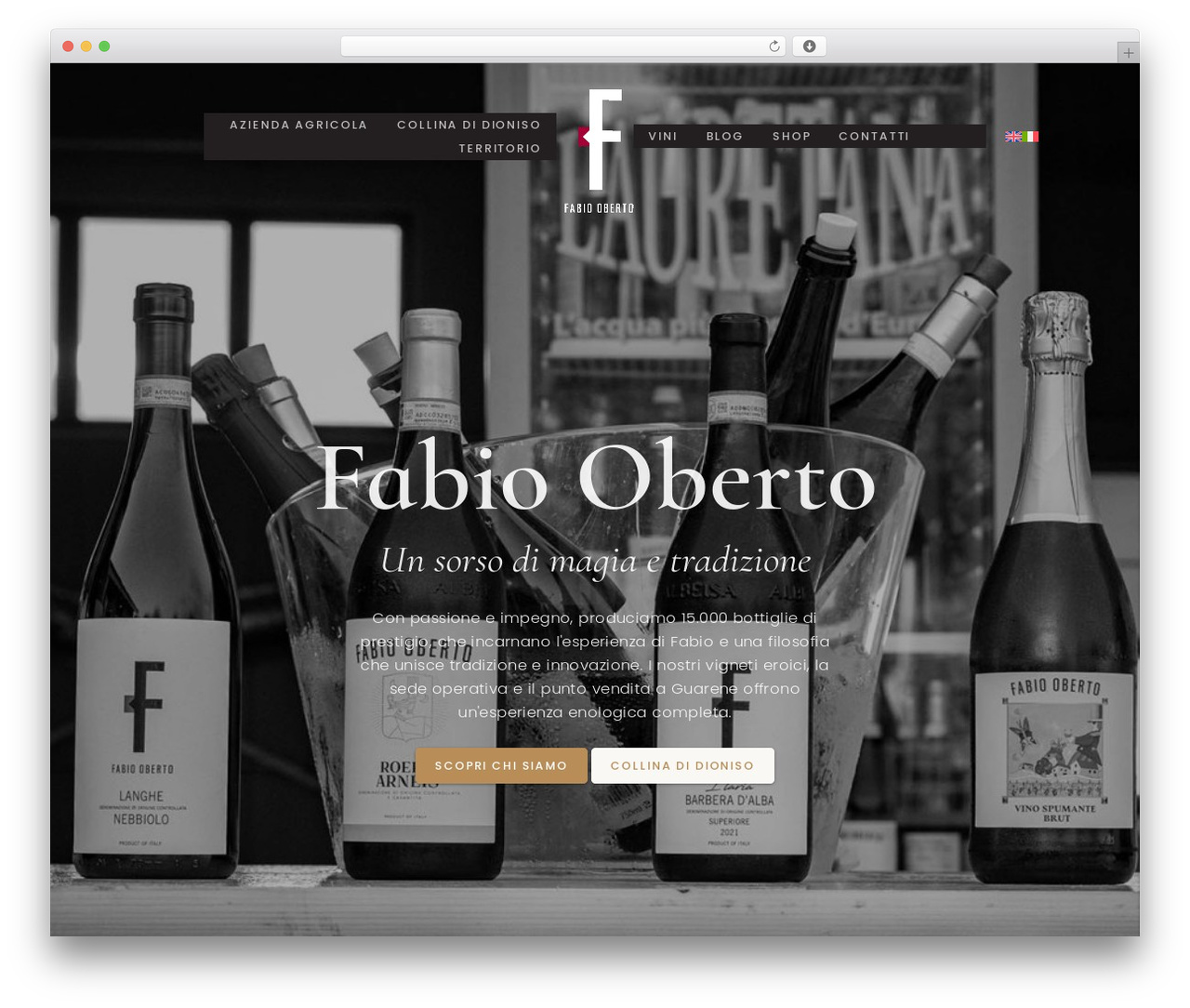 GlocalTheme top WordPress theme - fabiooberto.com