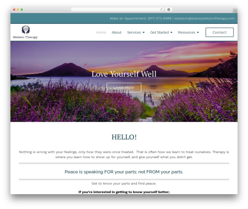 WordPress theme Megatheme - stetsontherapy.com