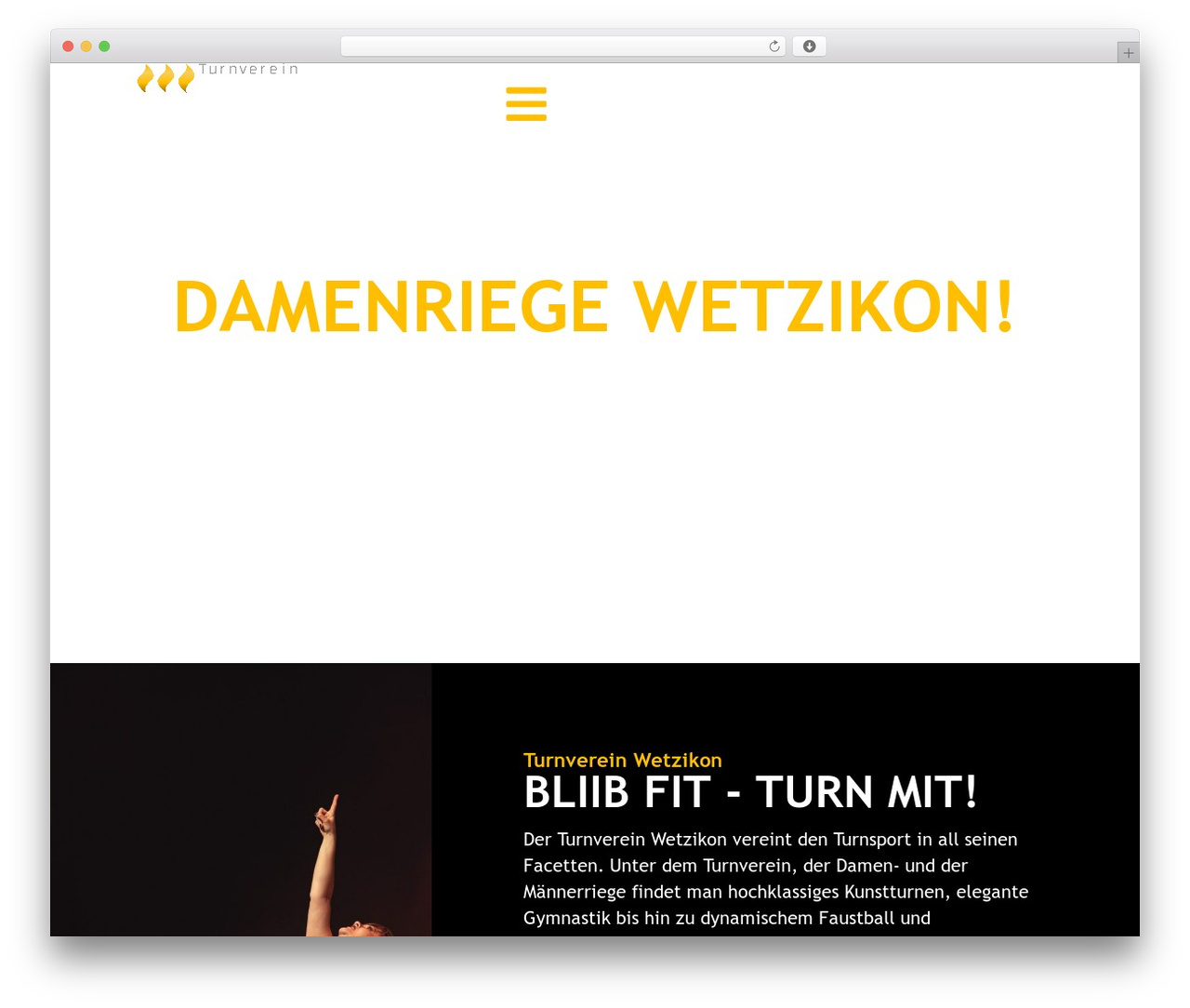 WordPress theme Hello Elementor - stv-wetzikon.com