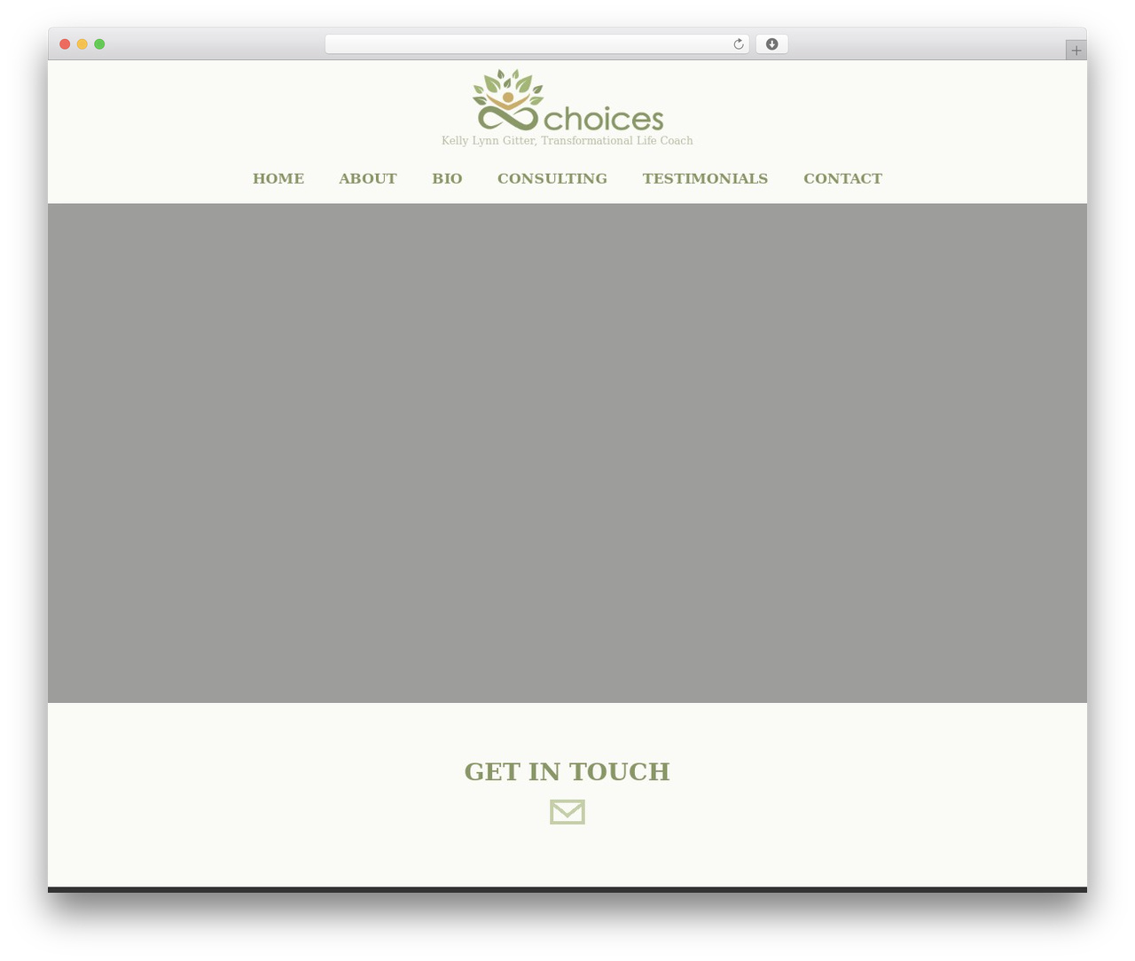WordPress theme Optimizer PRO - gitconscious.com