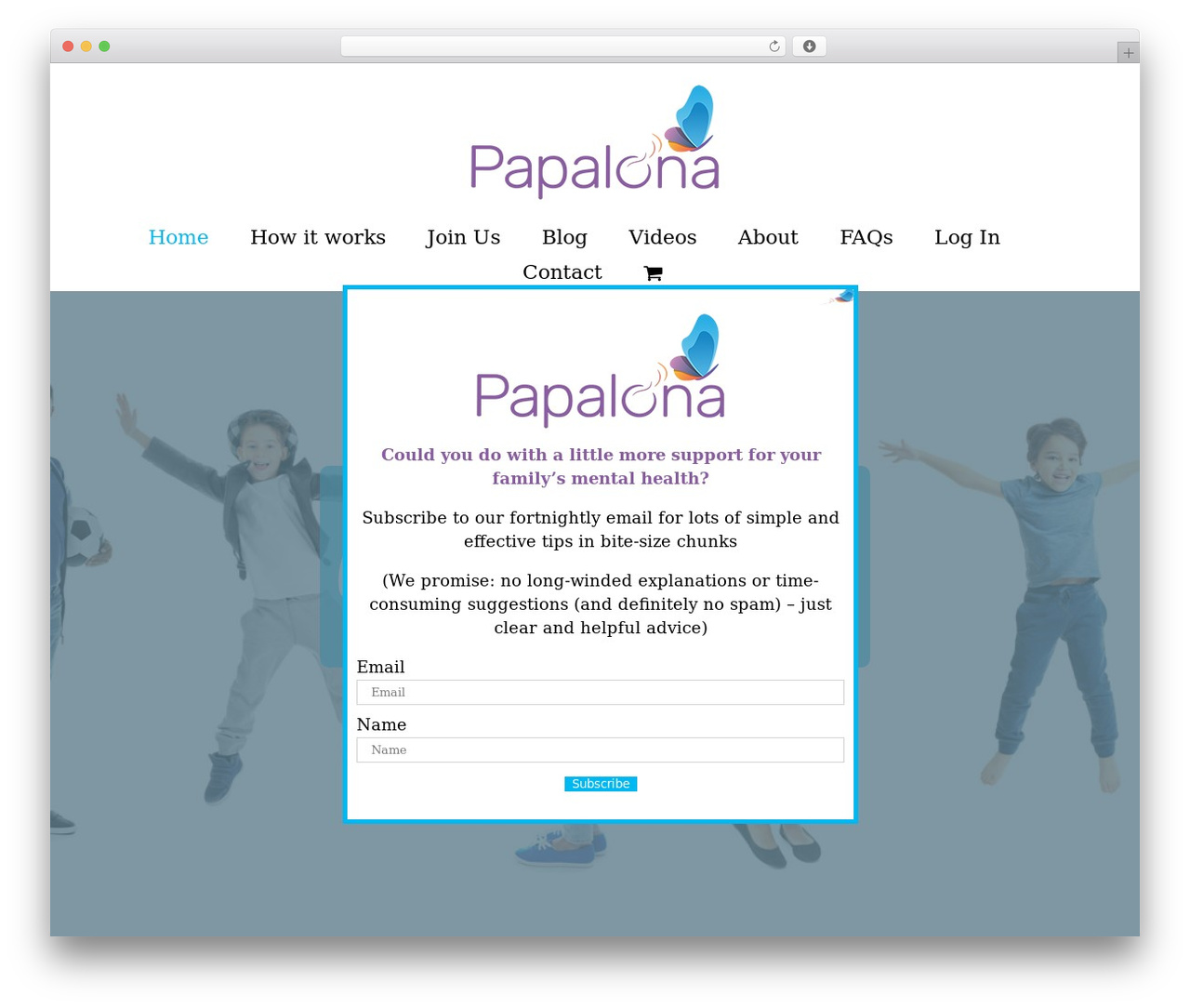 Avada WordPress theme - papalona.com