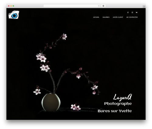 Imaginem blocks ii WordPress plugin - lazuraphoto.com