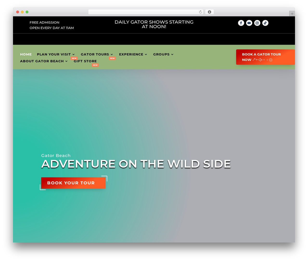 Molti WordPress theme - gatorbeach.com