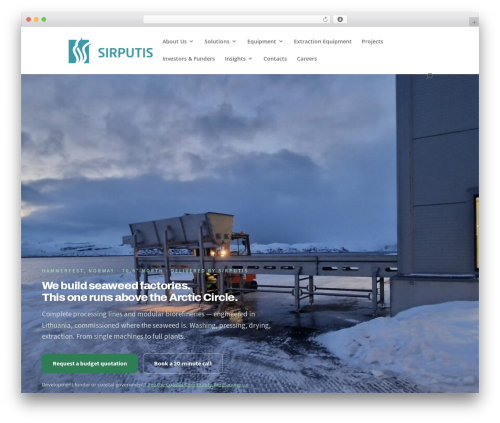 WordPress theme Divi - sirputis.com