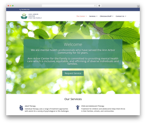 Input masks for contact form 7 WordPress plugin - annarborcenter.com