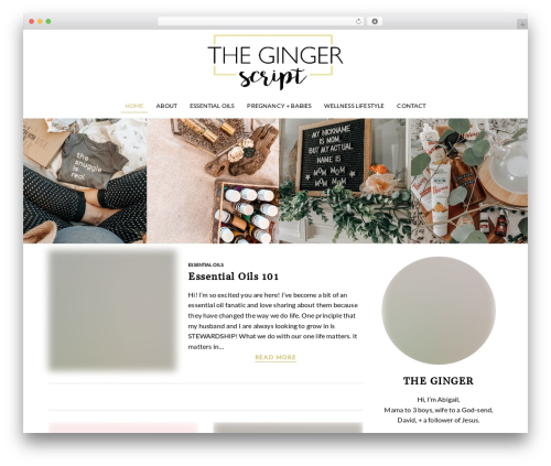 MailChimp Campaigns (olalaweb-mailchimp-campaign-manager) free WordPress plugin - thegingerscript.com