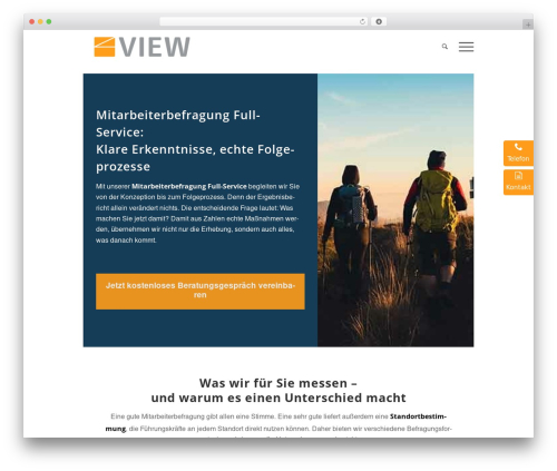 Enfold theme WordPress - skopos-view.de