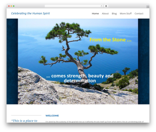 Engage WordPress theme - larryalanbrown.com