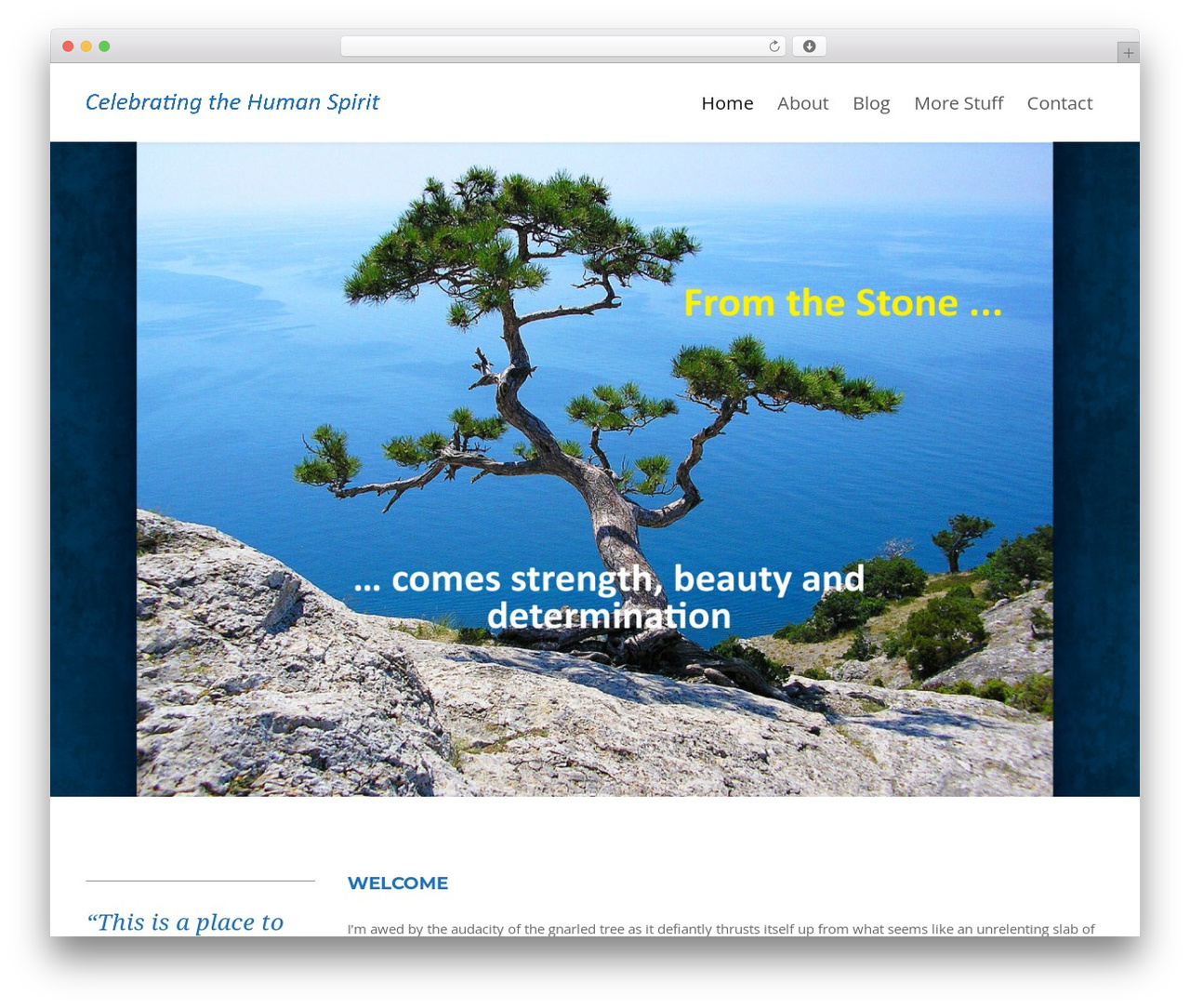 Engage WordPress theme - larryalanbrown.com
