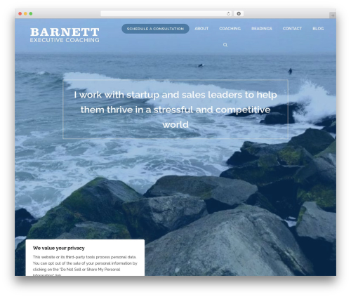 UseStrict's Calendly Embedder (cal-embedder-lite) free WordPress plugin - scottbarnett.coach