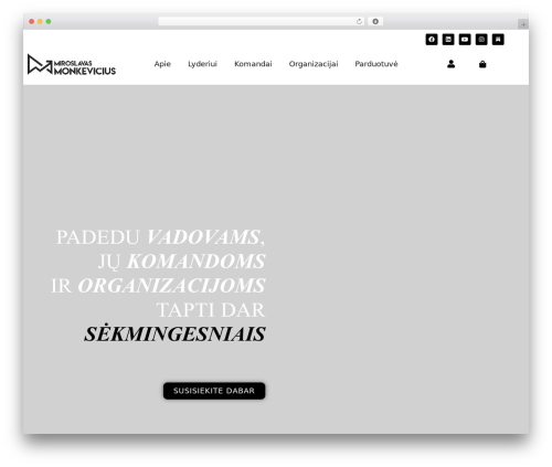 Clever Addons for Elementor (cafe-lite) free WordPress plugin - monkevicius.lt