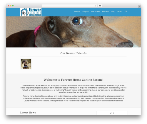 Rescue theme WordPress - foreverhomek9rescue.org
