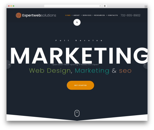 WordPress theme DeepDigital - expertwebsolutionsinc.com