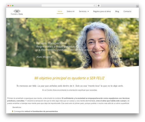 Subway – Private Site Option (subway) free WordPress plugin - centroalsia.com