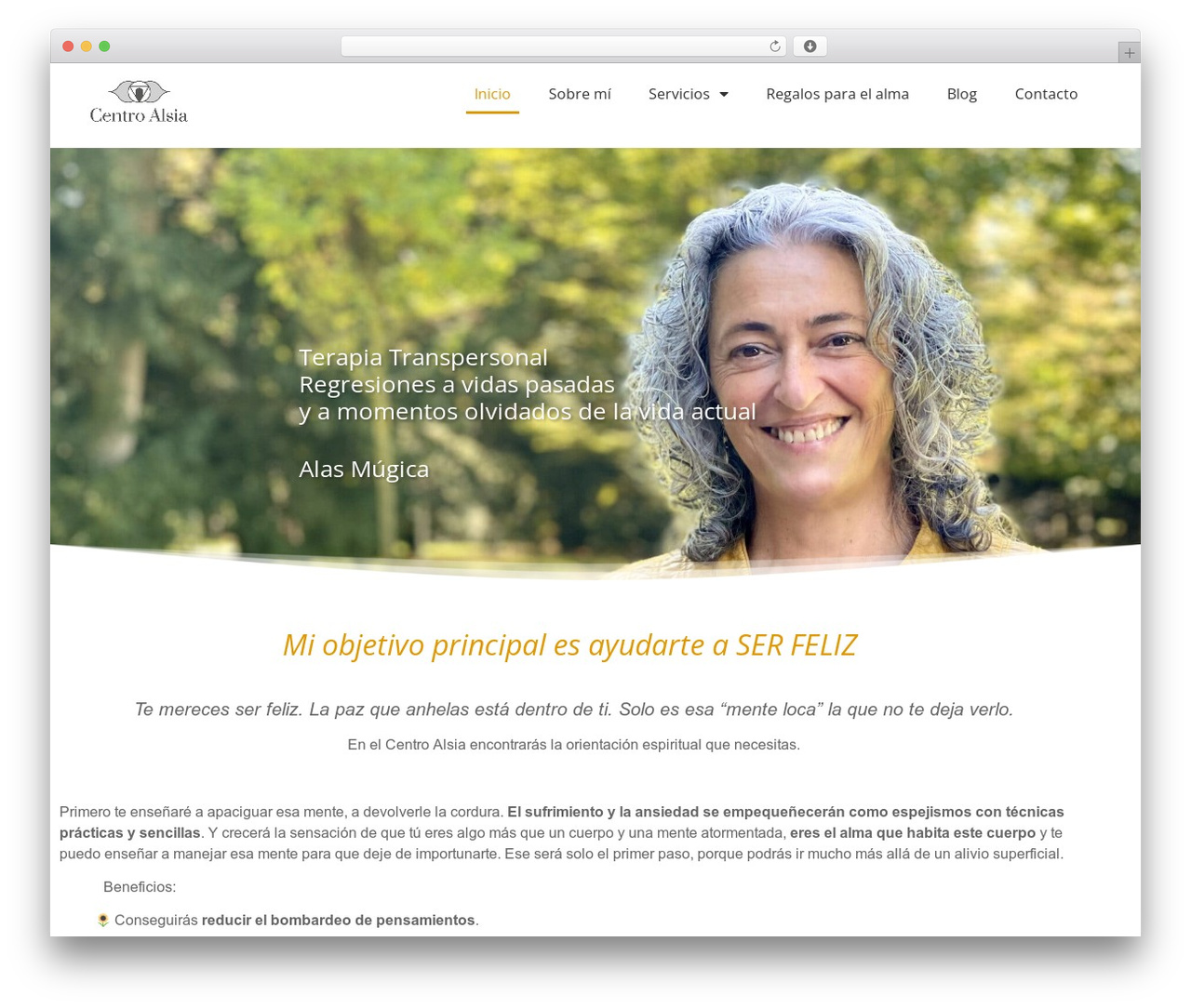 WordPress theme Hello Elementor - centroalsia.com