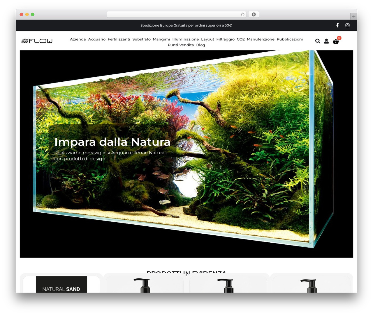 WordPress theme Ldm Theme - flownature.eu WordPress theme Ldm Theme - flownature.eu