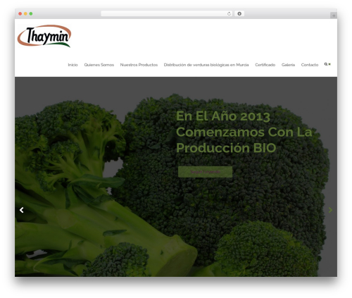 WordPress theme Mash - thaymin.com