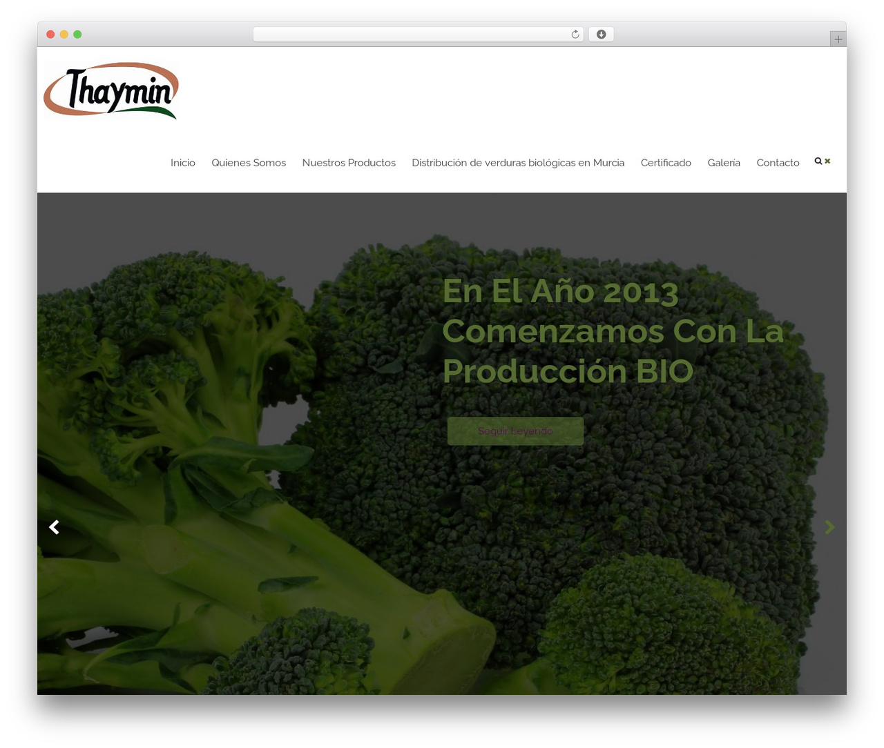 WordPress theme mash - thaymin.com WordPress theme mash - thaymin.com