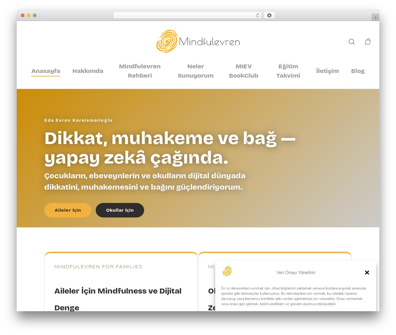 WordPress theme Salient - mindfulevren.com