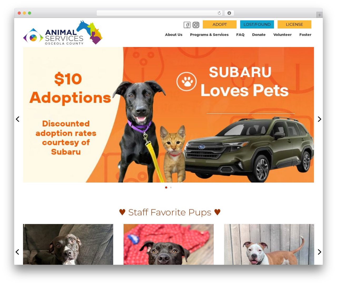 WordPress theme WebDevBar lank - osceolacountypets.com WordPress theme WebDevBar lank - osceolacountypets.com