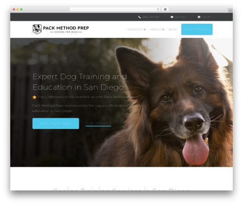 Divi WordPress theme - packmethodprep.com