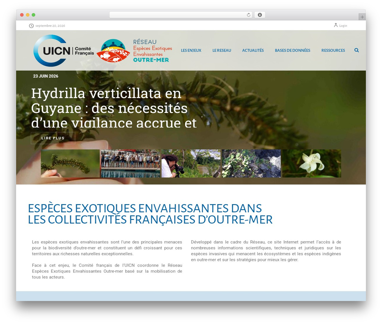 Jupiter WordPress theme - especes-envahissantes-outremer.fr Jupiter WordPress theme - especes-envahissantes-outremer.fr
