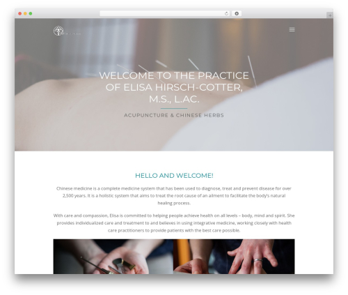 Profy WordPress theme - elisahirschcotter.com
