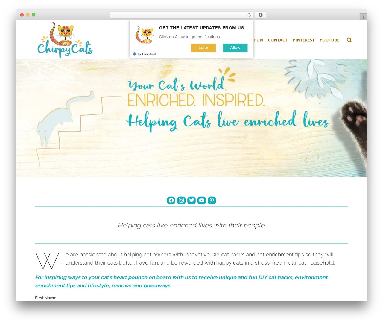 SeaShell WP theme - www.chirpycats.com SeaShell WP theme - www.chirpycats.com