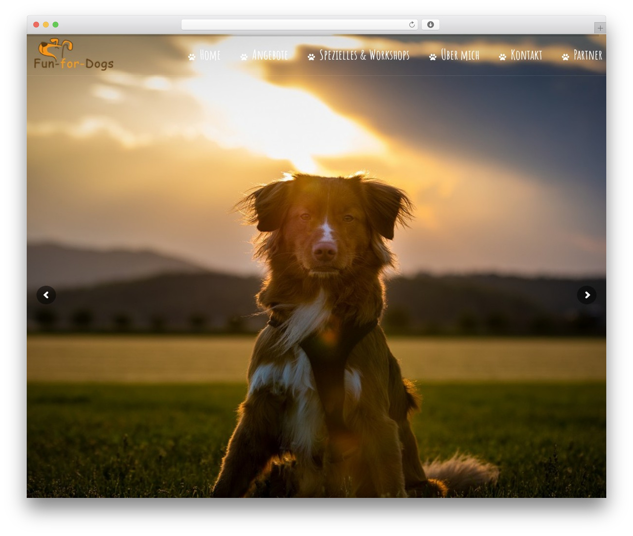 Theme WordPress Lambda - fun-for-dogs.ch