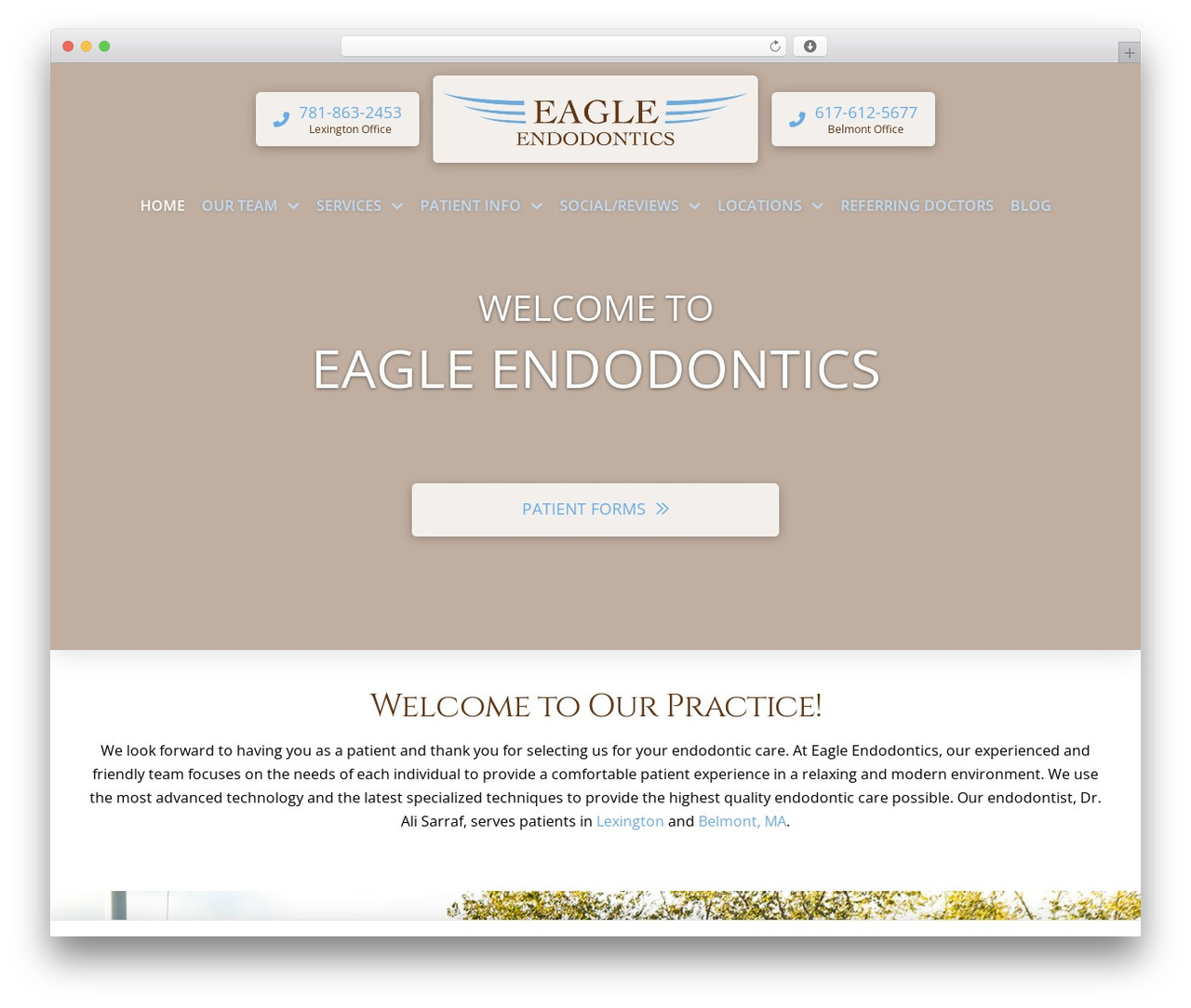 Theme WordPress Pro - eagleendodontics.com Theme WordPress Pro - eagleendodontics.com