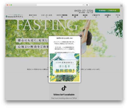 Snow monkey footer cta WordPress plugin - danjikidojo.jp