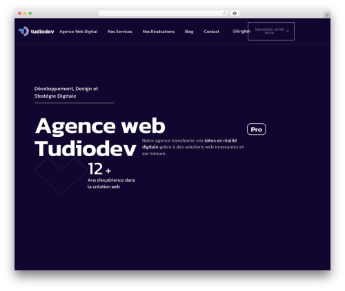 Wp rocket main WordPress plugin - tudiodev.com