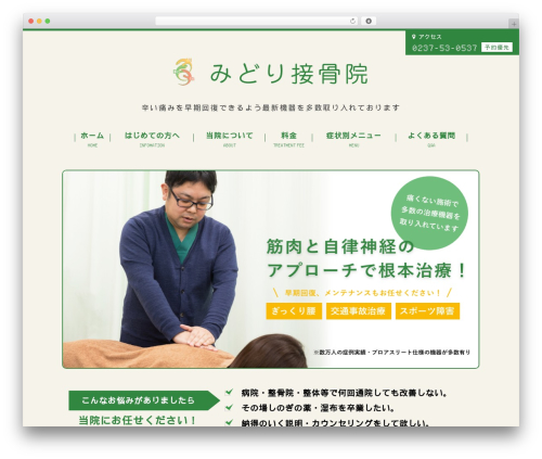 WordPress theme オリジナルテーマ - midorisekkotsu.com
