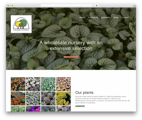WordPress theme Beaver Builder Theme - lakesidenursery.net