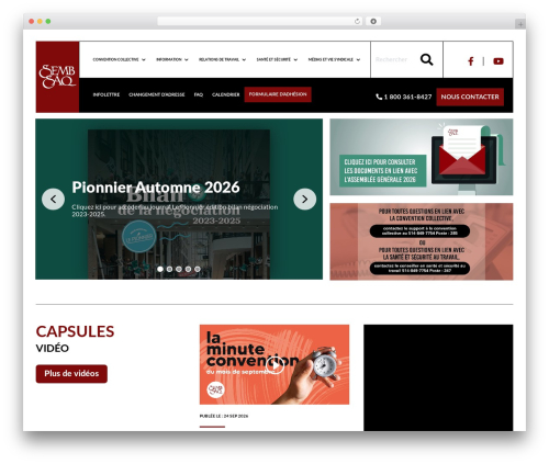 WordPress theme Divi - semb-saq.net