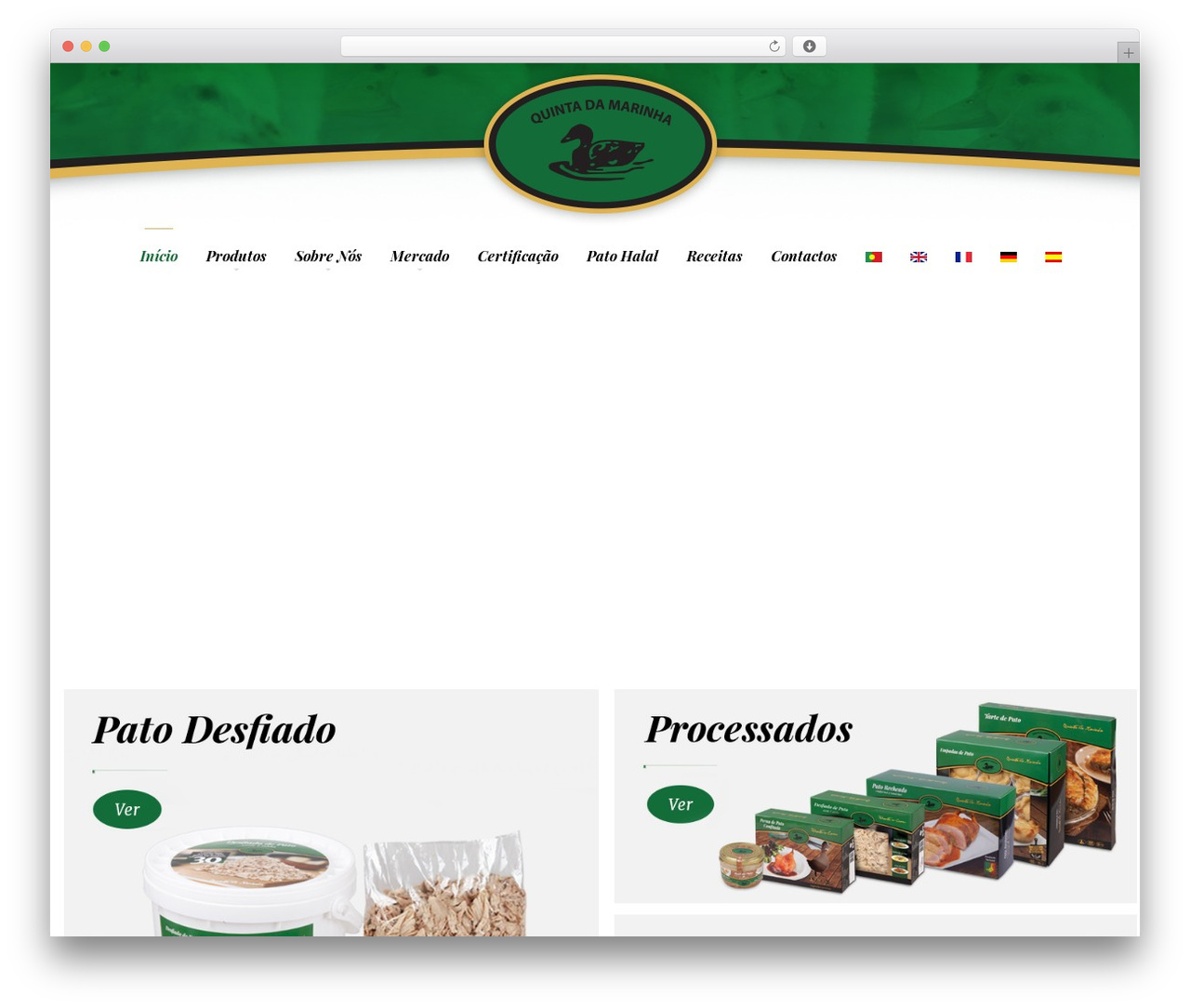 WordPress theme Octopus - marinhave.pt