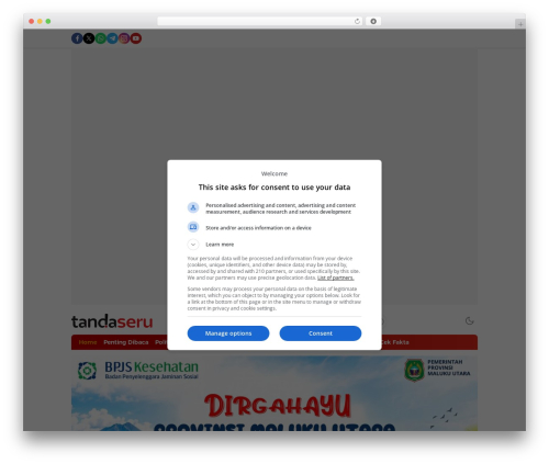 WPTerkini - Versi Developer theme WordPress - www.tandaseru.com