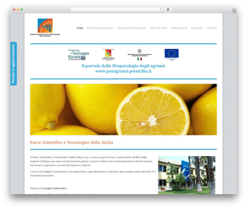 My Custom CSS PHP & ADS (my-custom-css) free WordPress plugin - patagrumi.pstsicilia.it