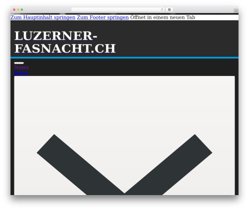 Bricks theme WordPress - luzerner-fasnacht.ch