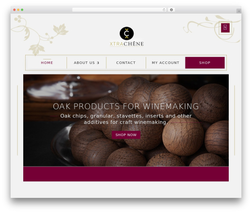 Divi theme WordPress - xtraoak.com