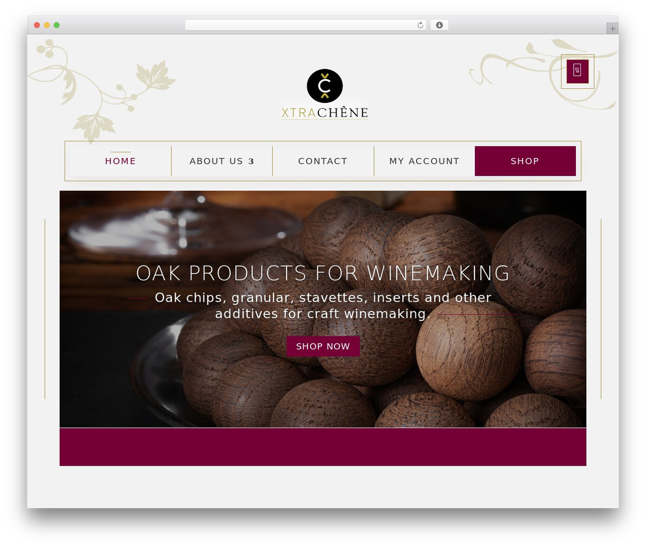 Divi theme WordPress - xtraoak.com Divi theme WordPress - xtraoak.com