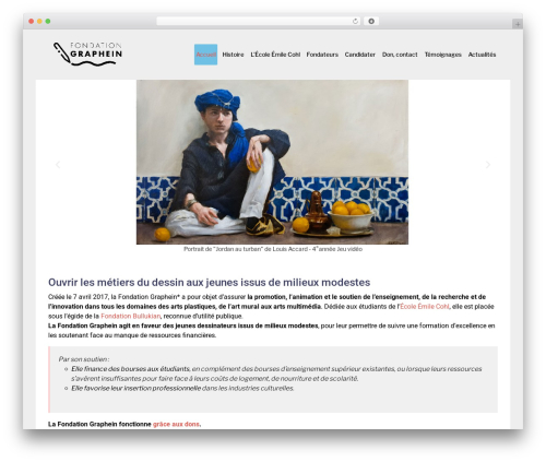 elemento WordPress theme - fondation-graphein.org