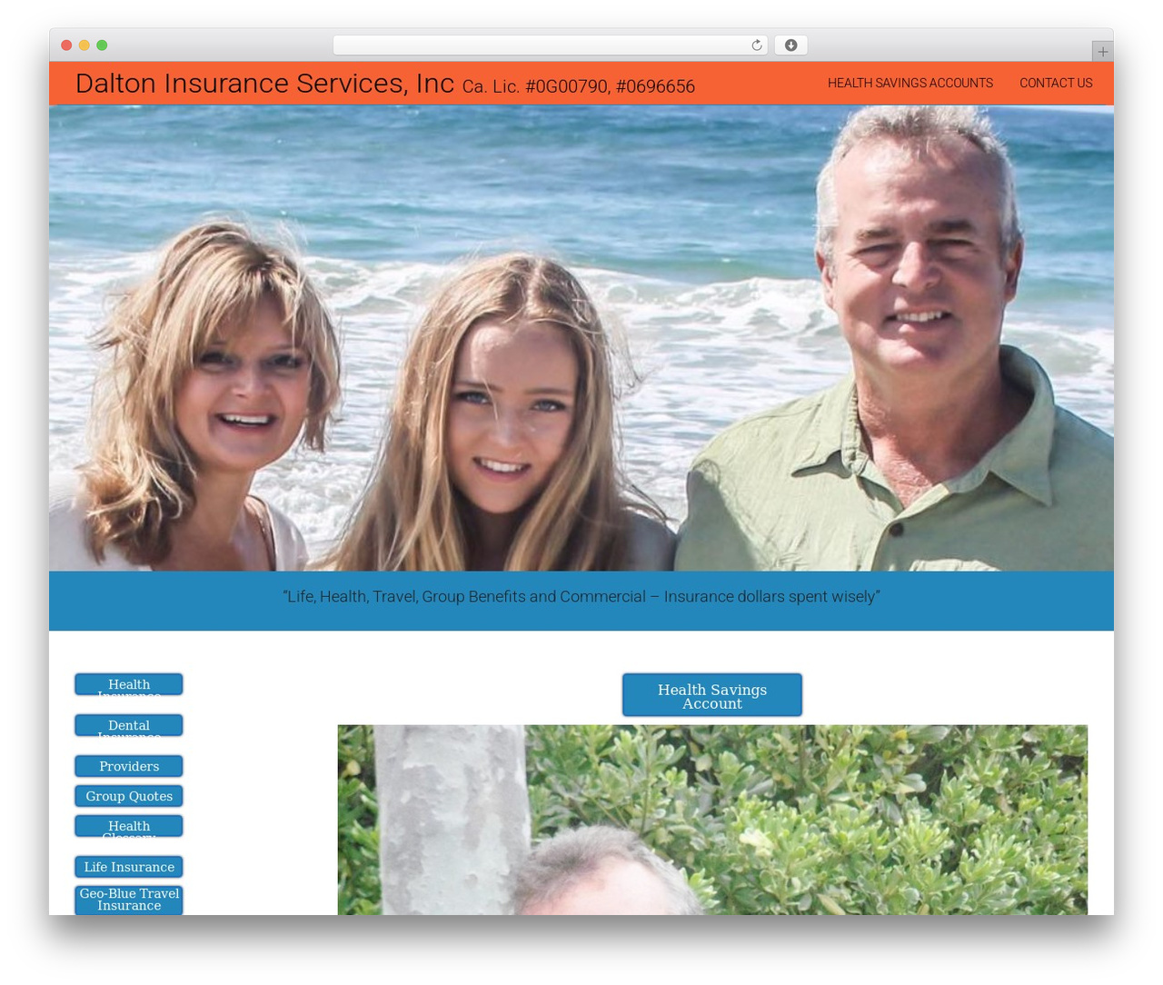 National Basic free WordPress theme - daltoninsurance.net