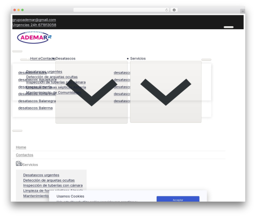 Max addons pro bricks WordPress plugin - desatascosademar.es